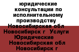 юридические консультации по исполнительному производству - Новосибирская обл., Новосибирск г. Услуги » Юридические   . Новосибирская обл.,Новосибирск г.